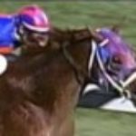 Profile picture of tbpicks